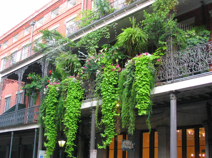 frenchquarter22