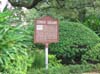 congo_square1