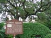 congo_square2