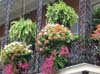 frenchquarter12