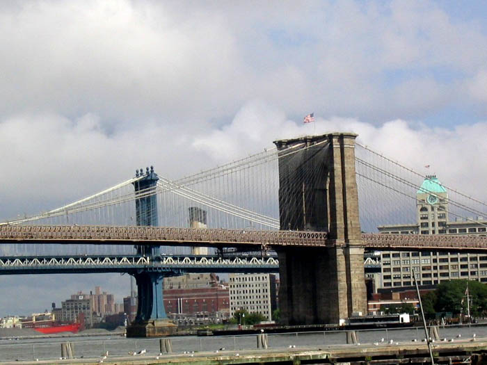 Brooklyn Bridge I