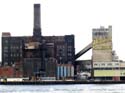 Domino Sugar