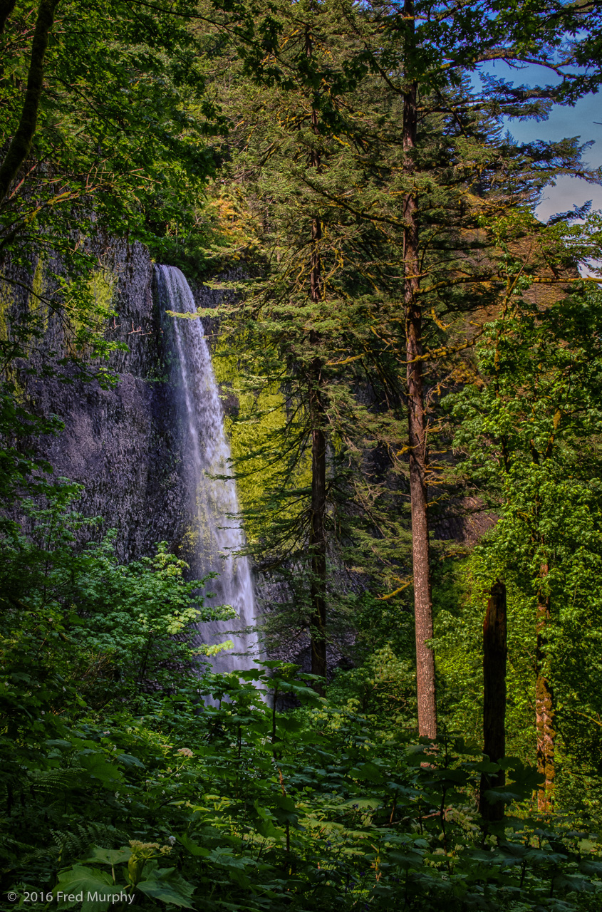 Latourell Falls