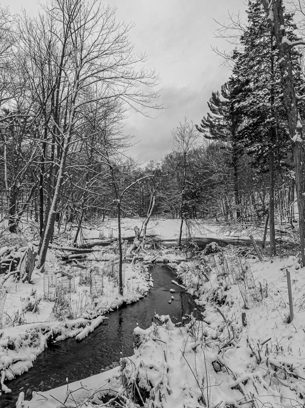 Halle Ravine Preserve