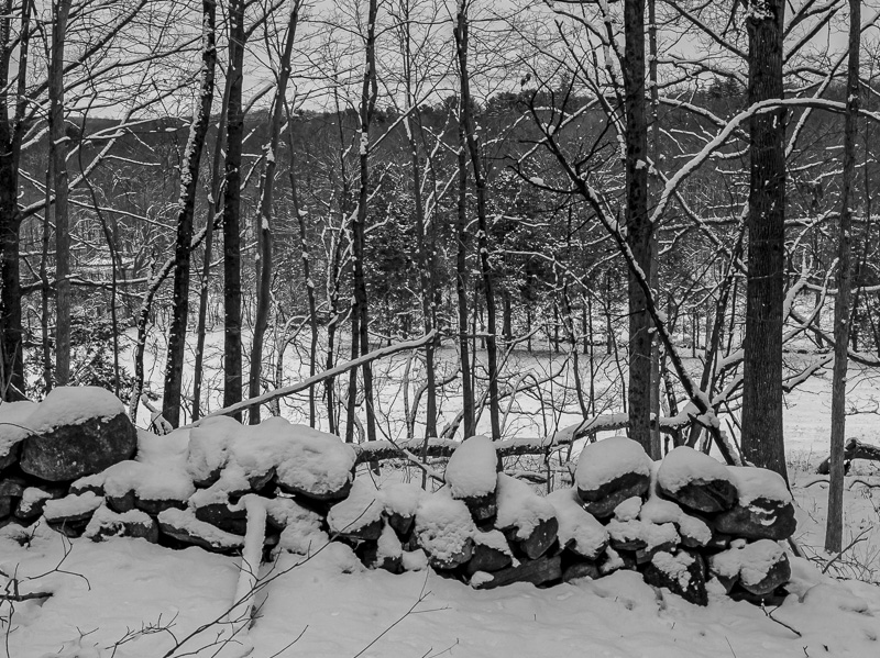 Clark Preserve