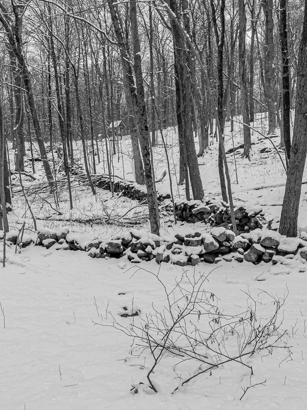 Clark Preserve