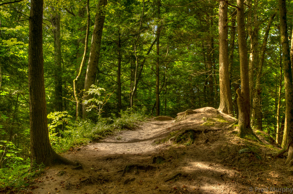 LaPlatte Nature Park