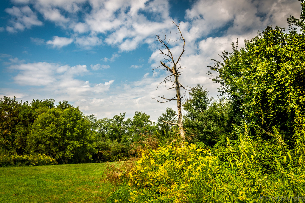 LaPlatte Nature Park