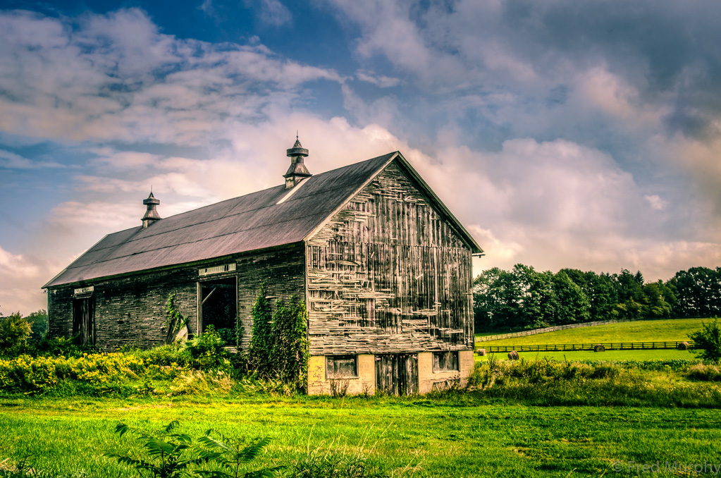 On Mt. Philo Road