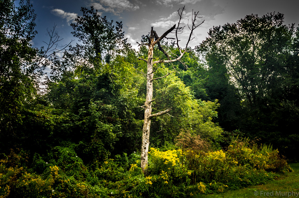 LaPlatte Nature Park