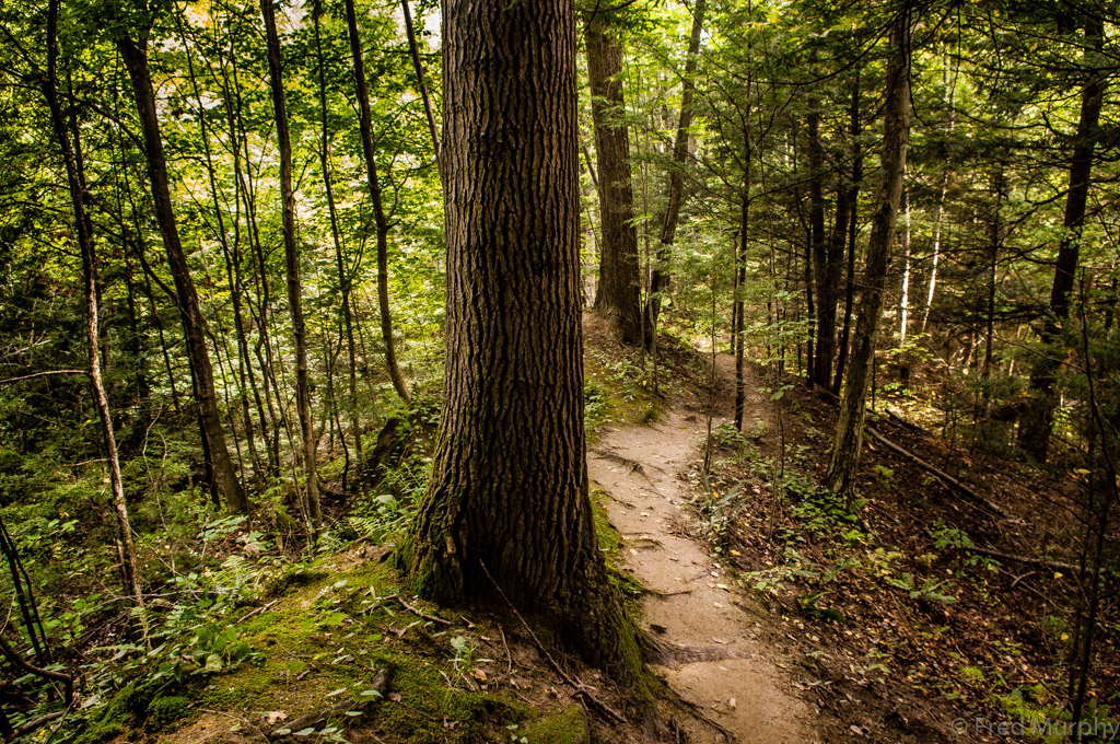 LaPlatte Nature Park