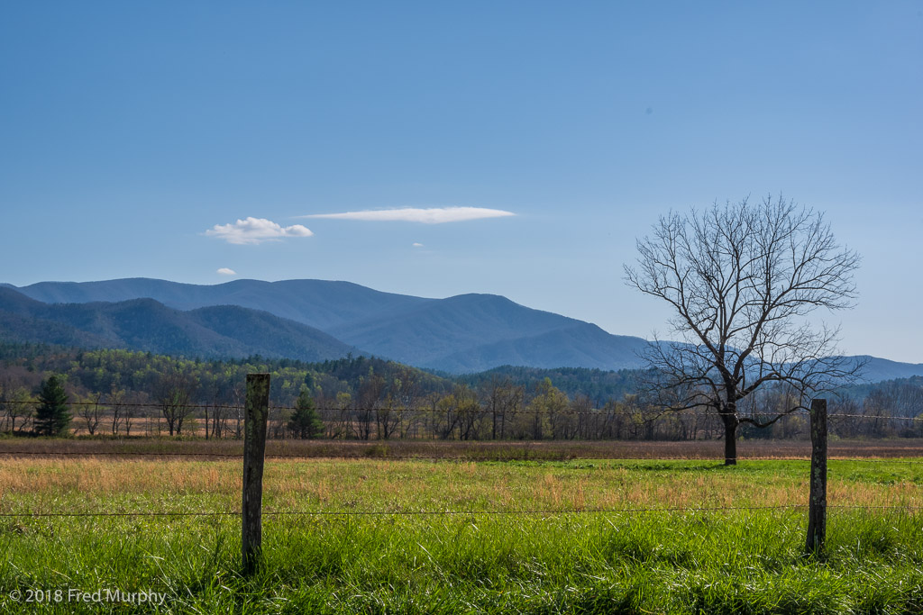 Cades Cove