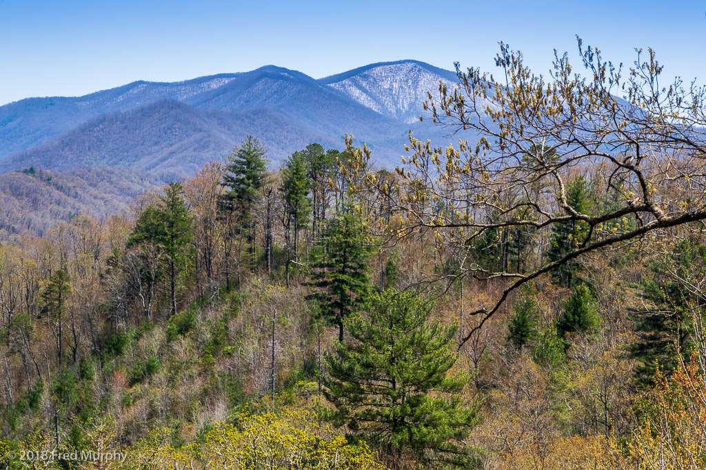 Clingman's Dome