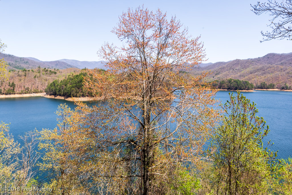 Fontana Lake