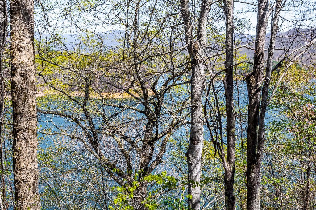 Fontana Lake