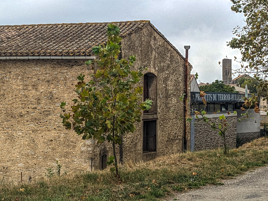 Olive Oil Warehouse and Press