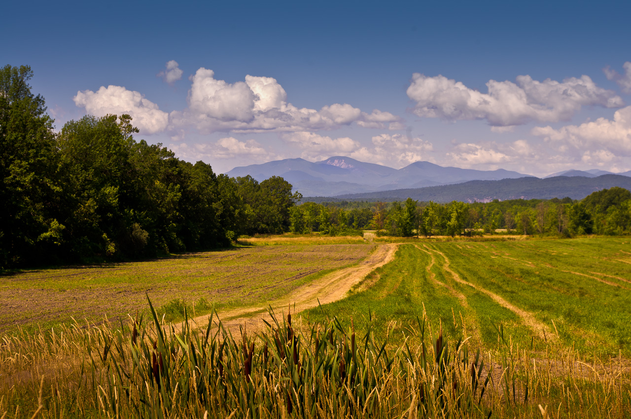 Look to the Mountains II