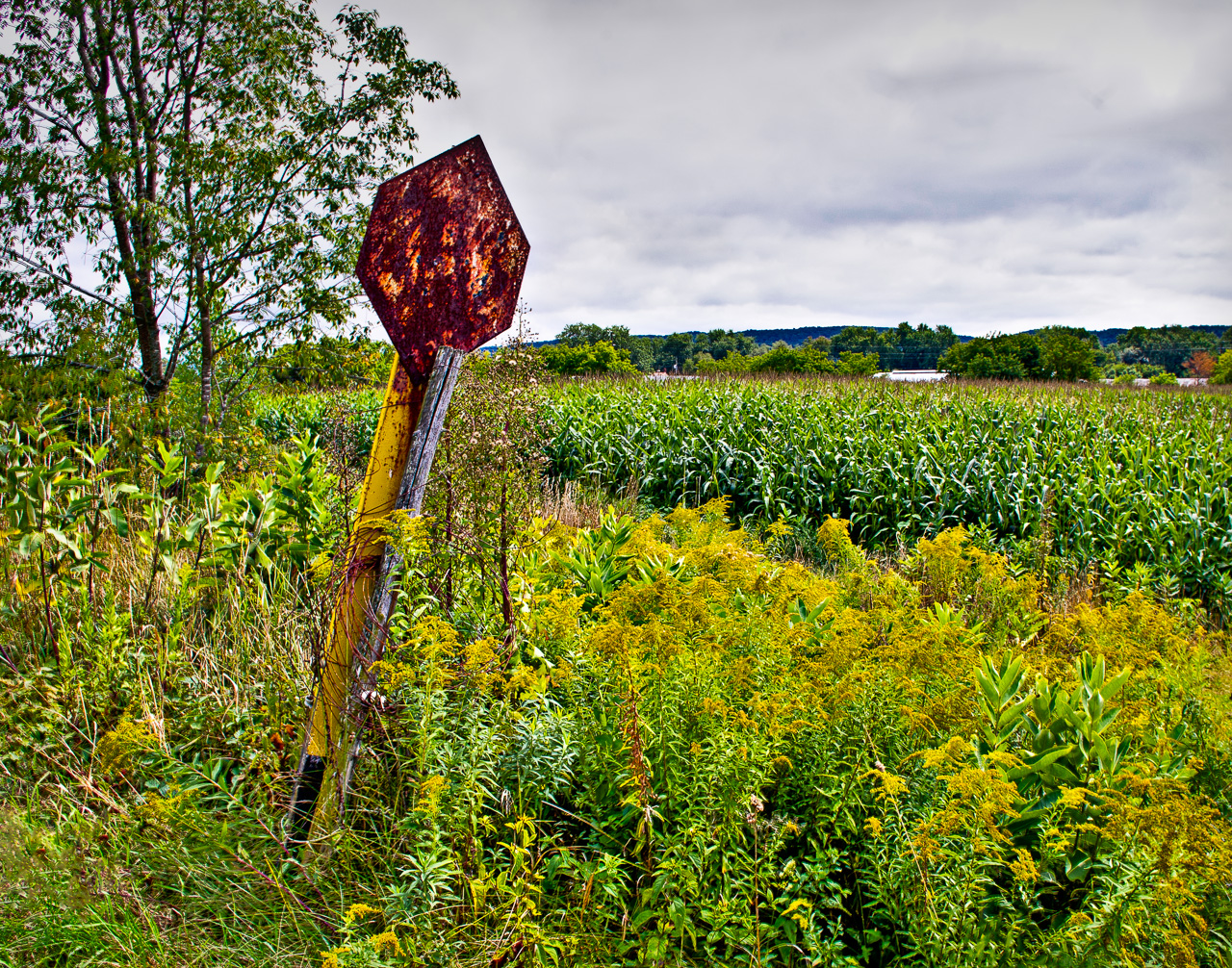 Ancient Signpost