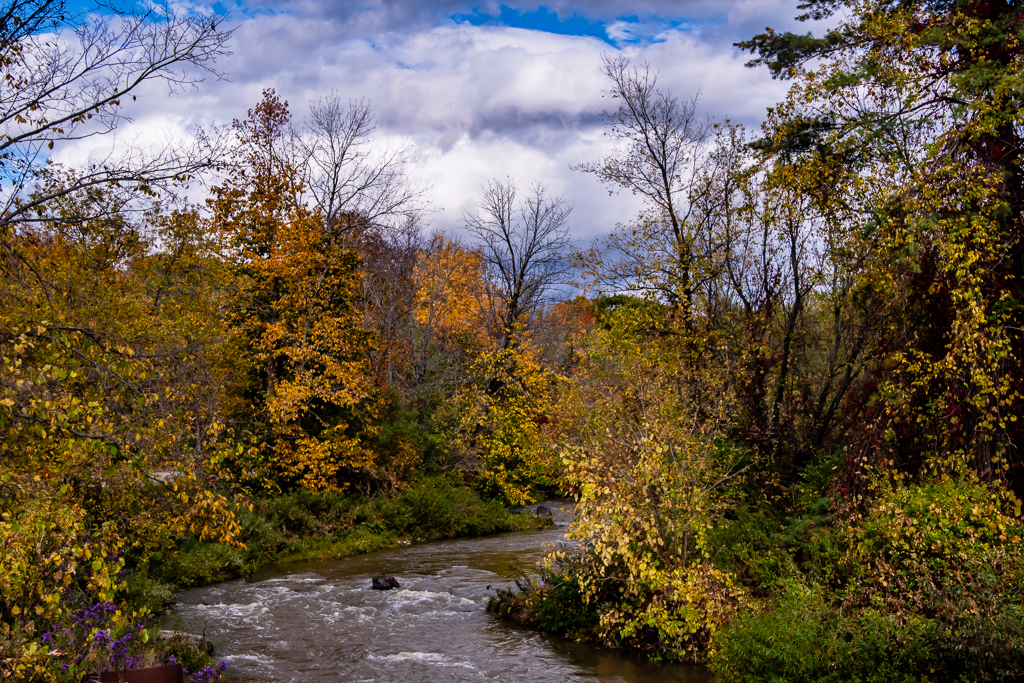 Lewis Creek