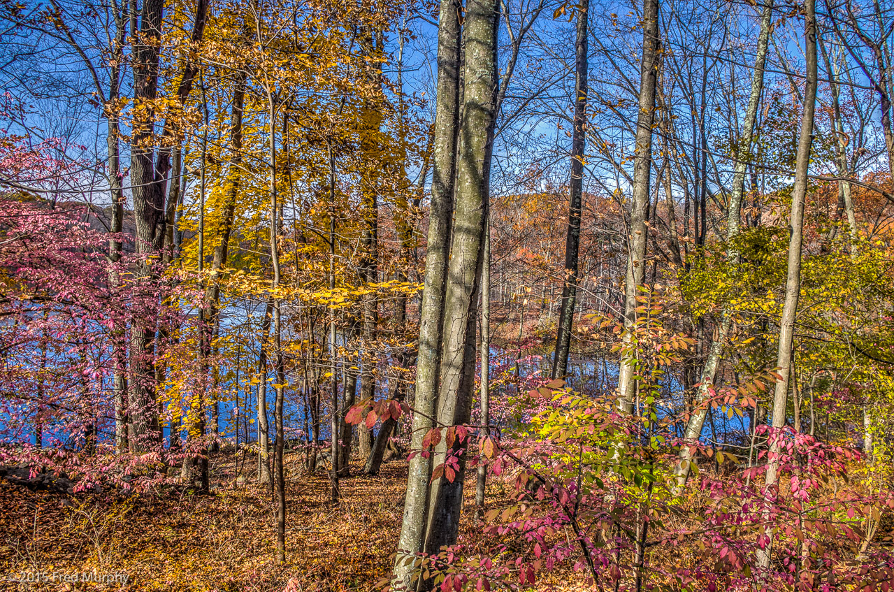 Teatown Lake