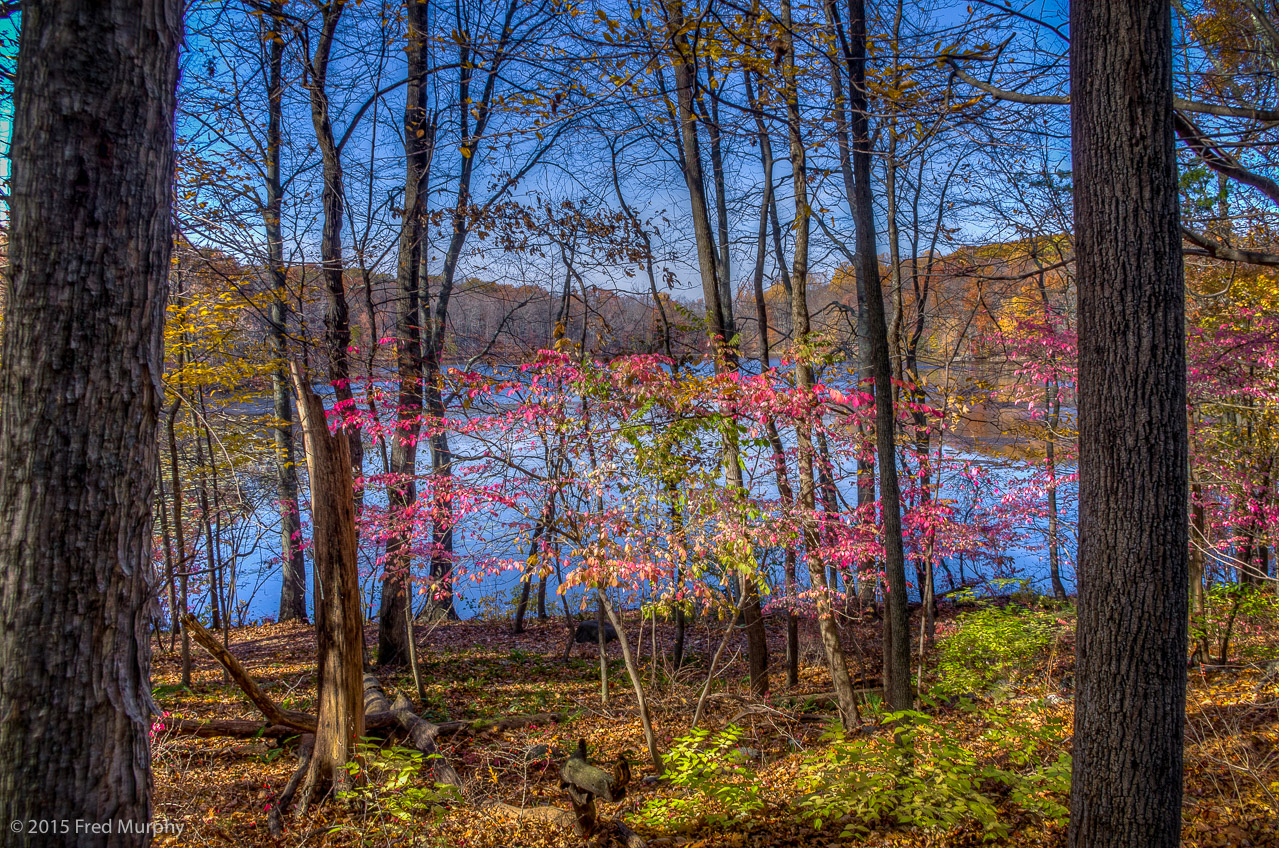 Teatown Lake