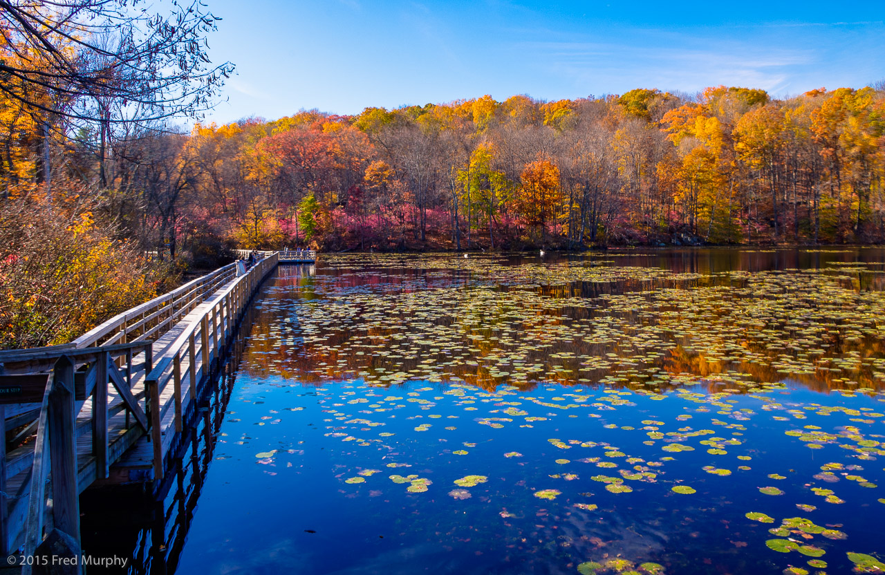 Teatown Lake