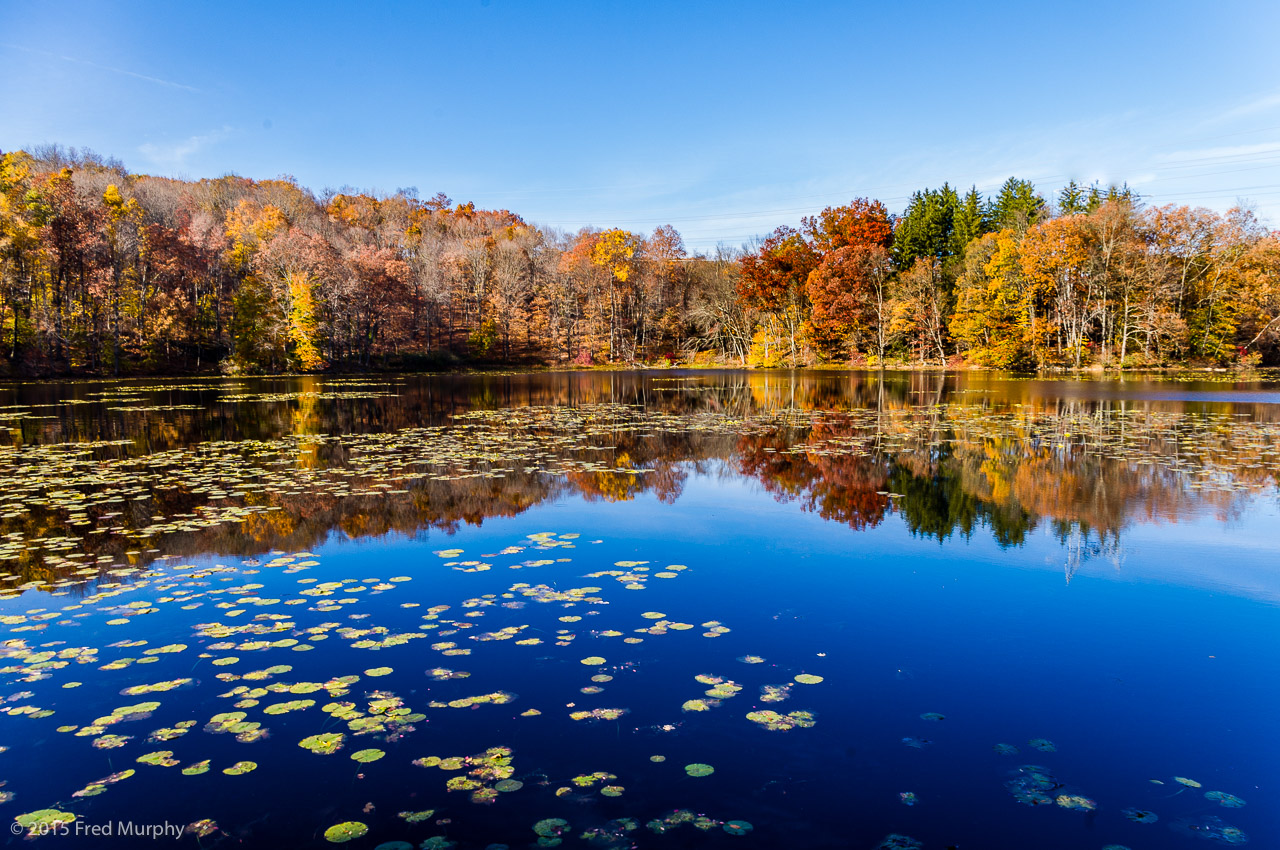 Teatown Lake