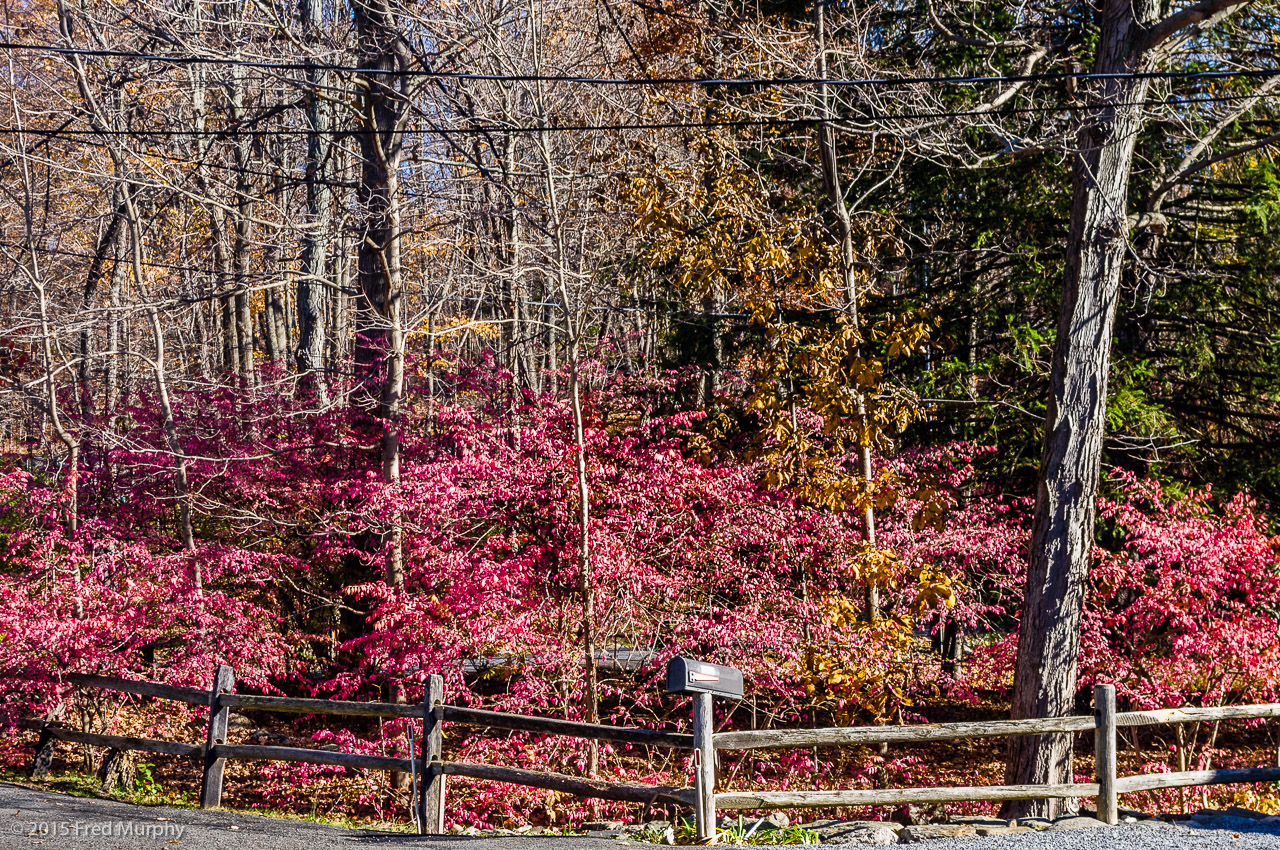 Spring Valley Road