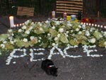 Peace with Cat