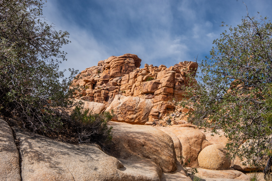 Joshua Tree National Park