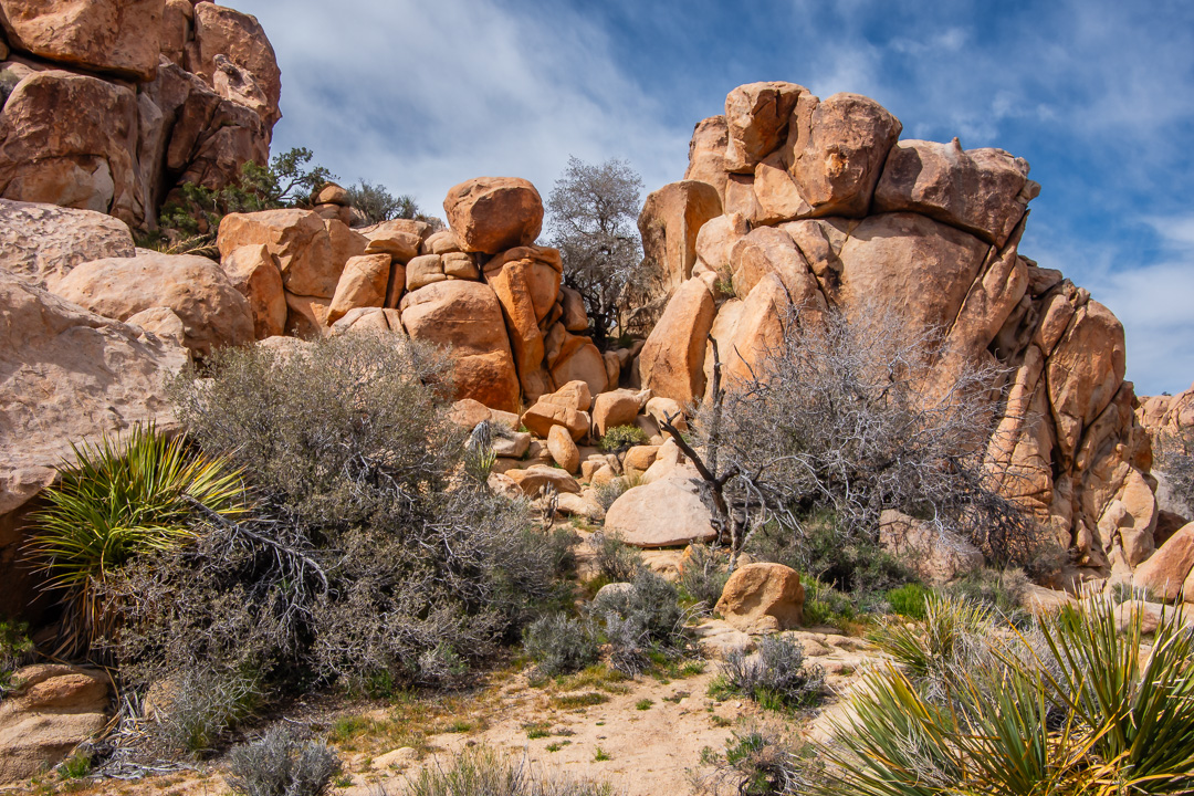 Joshua Tree National Park